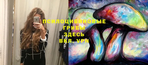 спиды Бронницы