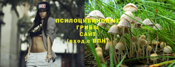 ALPHA-PVP Богданович