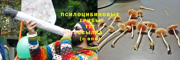 кристаллы Богородицк