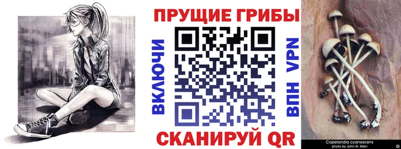 mega вход  Джанкой  Псилоцибиновые грибы GOLDEN TEACHER 